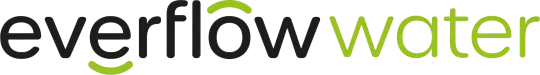 Everflow - Logo